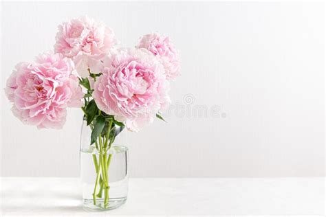 Lovely Flowers In Glass Vase Beautiful Bouquet Of Pink Peonies Floral Composition Copy Space