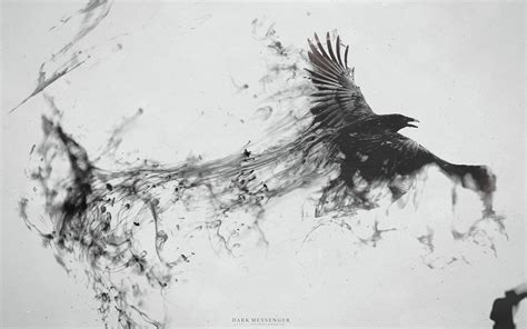 Wallpaper Illustration Animals Abstract Raven Crow