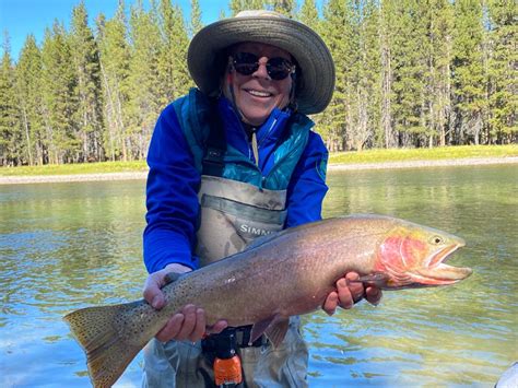 Yellowstone Cutty Trout On The Fly
