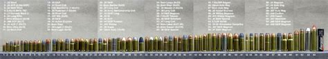 Ammo Size Chart Myconfinedspace