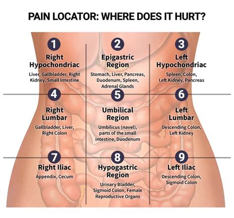 Pain Locator Where Does It Hurt Manhattan Gastroenterology