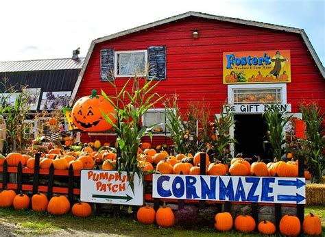 Maybe you would like to learn more about one of these? Best Pumpkin Patches and Corn Mazes for Seattle and ...