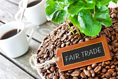 Fair Trade Kaffee Der Wachmacher Mit Vollem Genuss