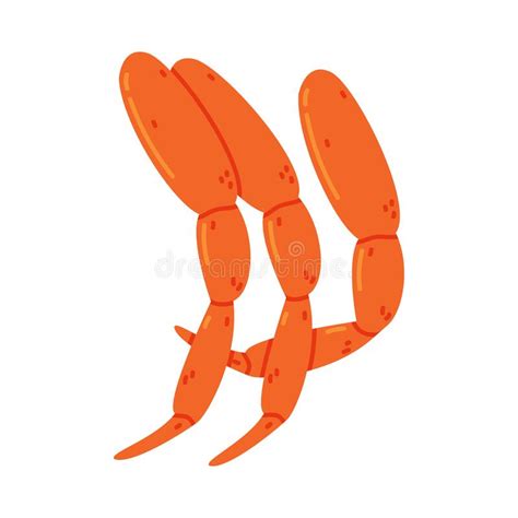 Crab Legs As Crustacean Seafood And Fresh Sea Product Vector