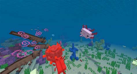 Axolotl Concept Minecraft Pe Addon Mod