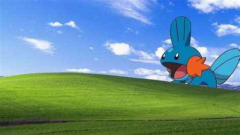 Funny Windows Backgrounds Wallpaper Cave
