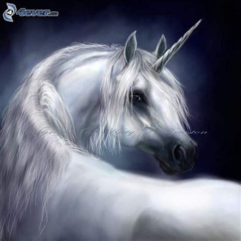 Unicorn Artwork Image To Your Mobile Лошади In 2019 Единорог