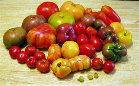 Some Of The Many Types Of Heirloom Tomatoes From My Garden In 2009