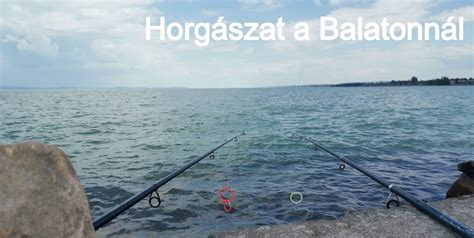 TOP 10 Hogyan lehet horgászni a Balatonnál