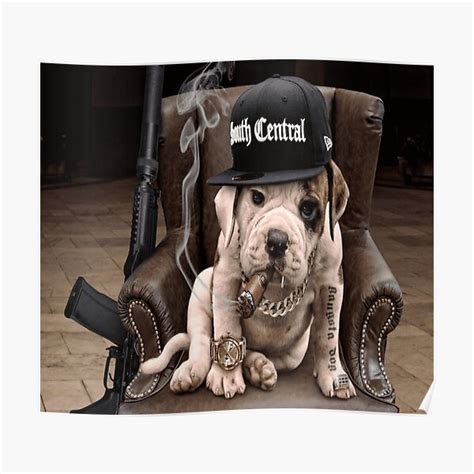 Gangster Puppy Poster For Sale By Kennyvdk Redbubble