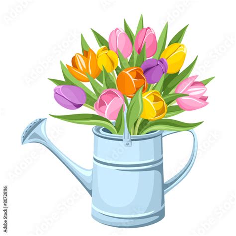 Bouquet Of Tulips In Watering Can Vector Illustration Buy This Stock Vector And Explore