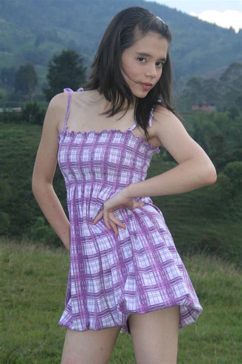 Stefi Model Plaid Dress Fashionblog