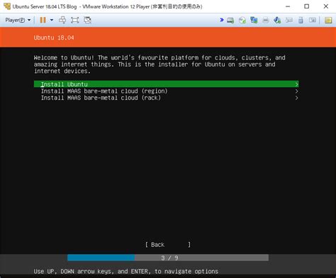 Ubuntu Server 1804 Lts Install 5