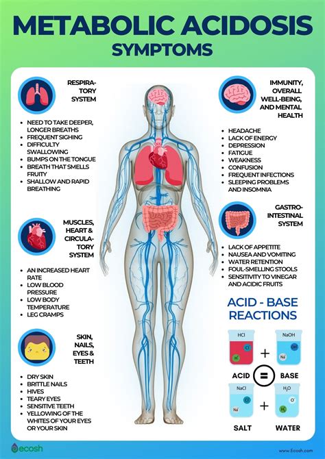 Metabolic Acidosis Symptoms Causes Risk Factors Prevention And