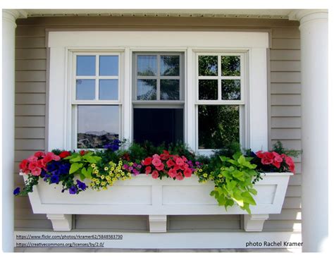 How To Plant Window Boxes That Envy Make It A Garden