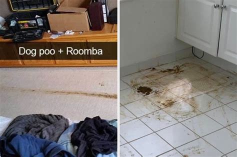 Will Roomba Run Over Dog Poop