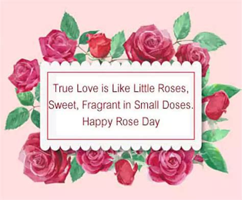 100 Rose Day Wishes And Messages For Friends 2022 Quotesprojectcom