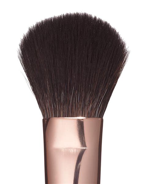 To avoid looking too toasty (because you can totally go overboard), we spoke with. Bronzer & Blusher Brush: Makeup Brushes | Charlotte Tilbury