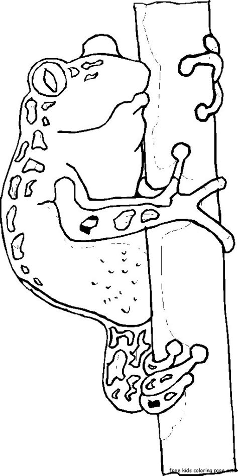 Find cute pages to color that your kid will love. Coloring pages Frog On Tree print outFree Printable ...