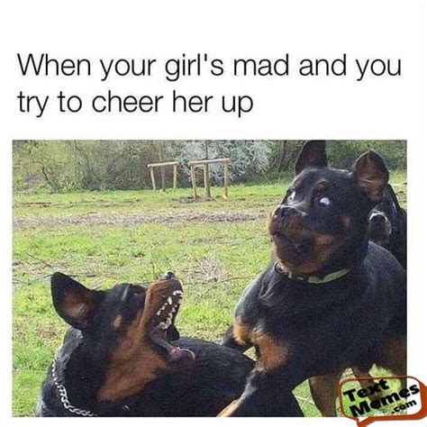 75 Funniest Dog Memes Face You Never Seen Before 2020