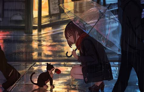 Wallpaper Girl Anime Flower Rain Umbrella Cat Images