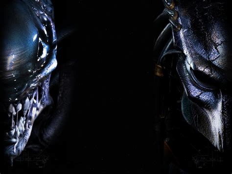 » xenomorph aliens alien vs_ predator wallpaper. Alien Vs Predator Wallpapers - Wallpaper Cave
