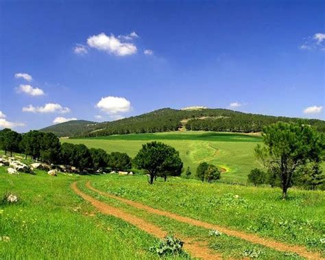 Green Israel The Most Beautiful Scenery In The World Free Download Wallpapers With Images