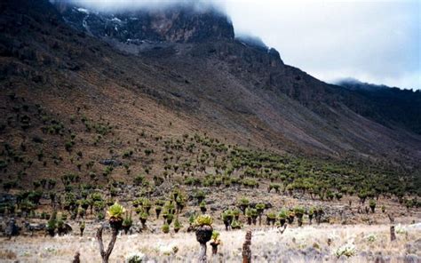 7 Things To Do At Mount Kenya National Park Kenya Geographic