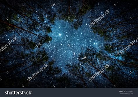 Beautiful Night Sky Milky Way Trees Stock Photo 535318603