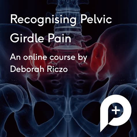 Sacroiliac And Pelvic Girdle Dysfunction Learn The Pgm Method With