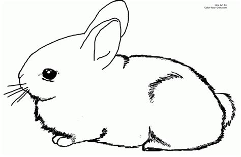 Cute Baby Bunny Coloring Pages Coloring Home