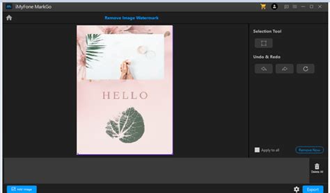 How To Remove Watermark In Canva Paid And Free Solutions