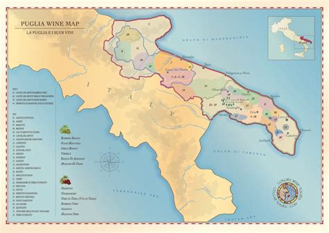 Puglia Wine Region A Guide By Cellar Tours™