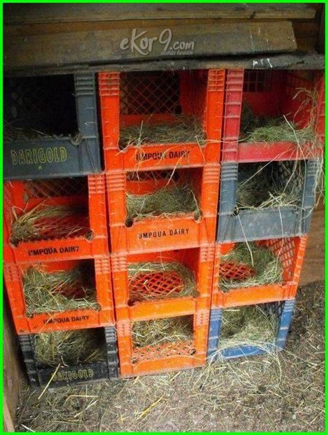 Pembentukan telur ayam itu berlaku secara berperingkat, dan ia bertempat di dalam satu saluran yang sekiranya, sel sperma daripada ayam jantan itu hadir, persenyawaan ovum akan mengambil tempat di infundibulum. Kandang Ayam Bangkok yang Sederhana, Tetap Kreatif dan ...