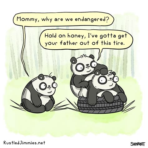 Pandas Funny