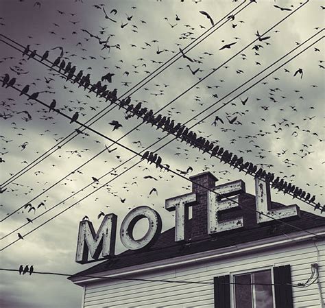 Znak Motel Obrazy Zdjęcia I Ilustracje Istock