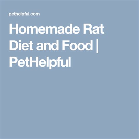 How To Prepare A Healthy Homemade Diet For Your Rat Pet Diet Diet