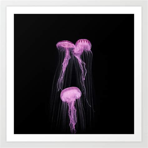 Pink Medusas Photography Print Etsy