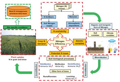 Optimization Of Nitrogen In Durum Wheat In The Mediterranean Climate