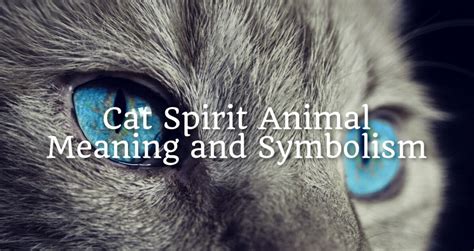 Cat Spirit Animal Meaning And Symbolism Spirit Animal Encyclopedia