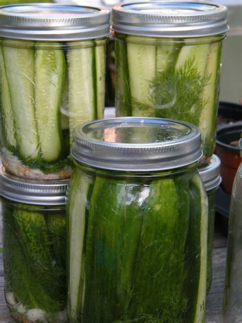 Let us create a dummy list. Garlic Dill Refrigerator Pickles · How To Make A Pickled ...