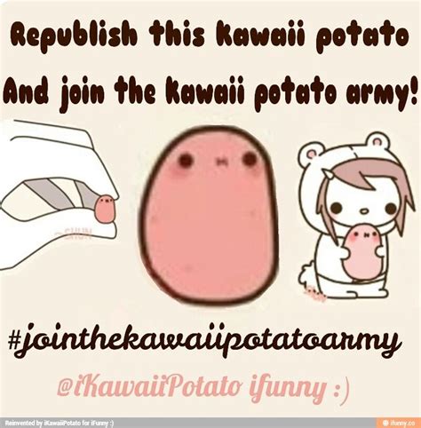 17 Best Images About Kawaii Potato On Pinterest Kawaii Potato