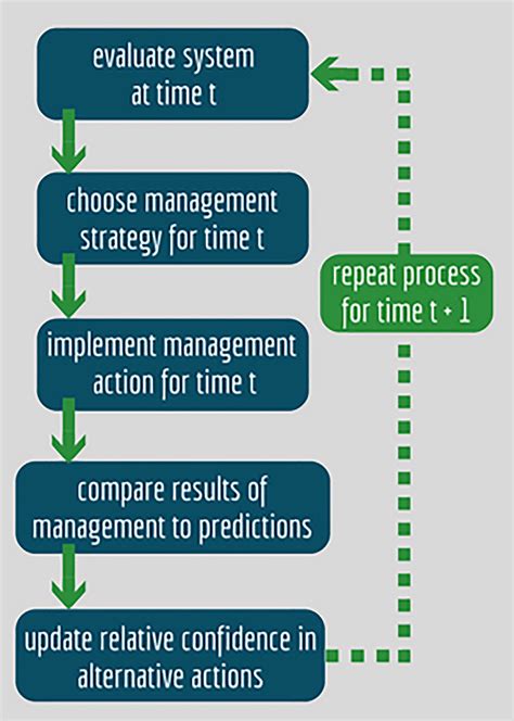 Key Steps Of Adaptive Management Process Which Is Used To Reduce