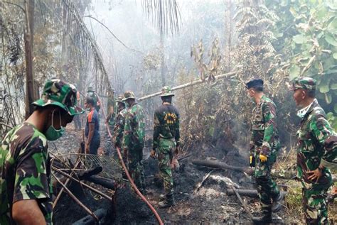 TNI Tindak Tegas Pembakar Hutan Dan Lahan Di Riau Republika Online