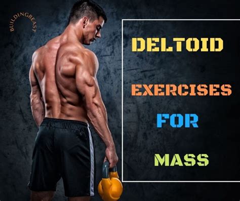 12 Best Deltoid Exercises To Build Massive Shoulders Buildingbeast