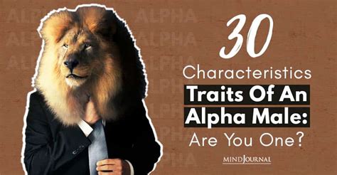 30 Characteristics Traits Of An Alphthere Are A Male Are You One