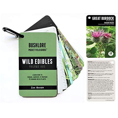 Bushlore Brand Wild Edible Plants Cards 19 Pocket Field Guide