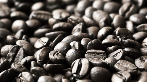 Check spelling or type a new query. Coffee Beans Wallpaper HD | Full HD Pictures