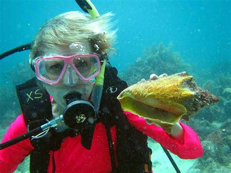 Scuba Diving On Looe Key Reef Florida Keys A Sanctuary For Sea Life