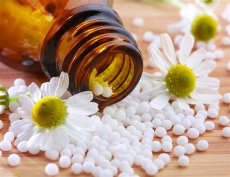 ¿qué Es La Homeopatía Homeopathy Center